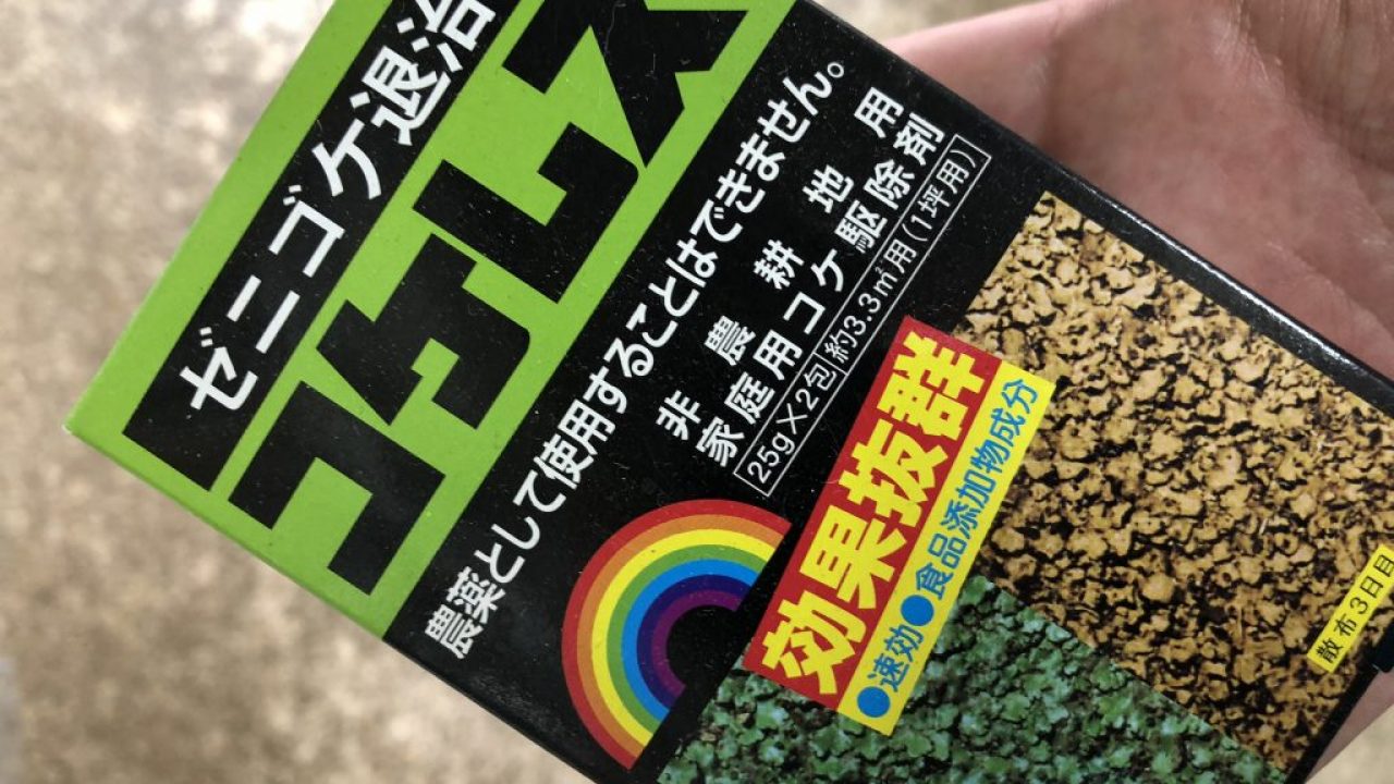 芝生 庭の苔 コケ 対策 除草剤 酢酸 熱湯 芝生の手入れ Com
