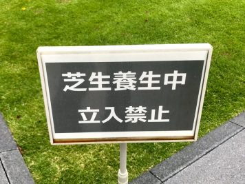 GINZA SIXの芝生養生