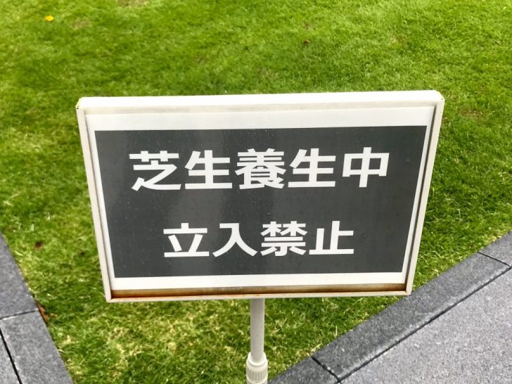 GINZA SIXの芝生養生