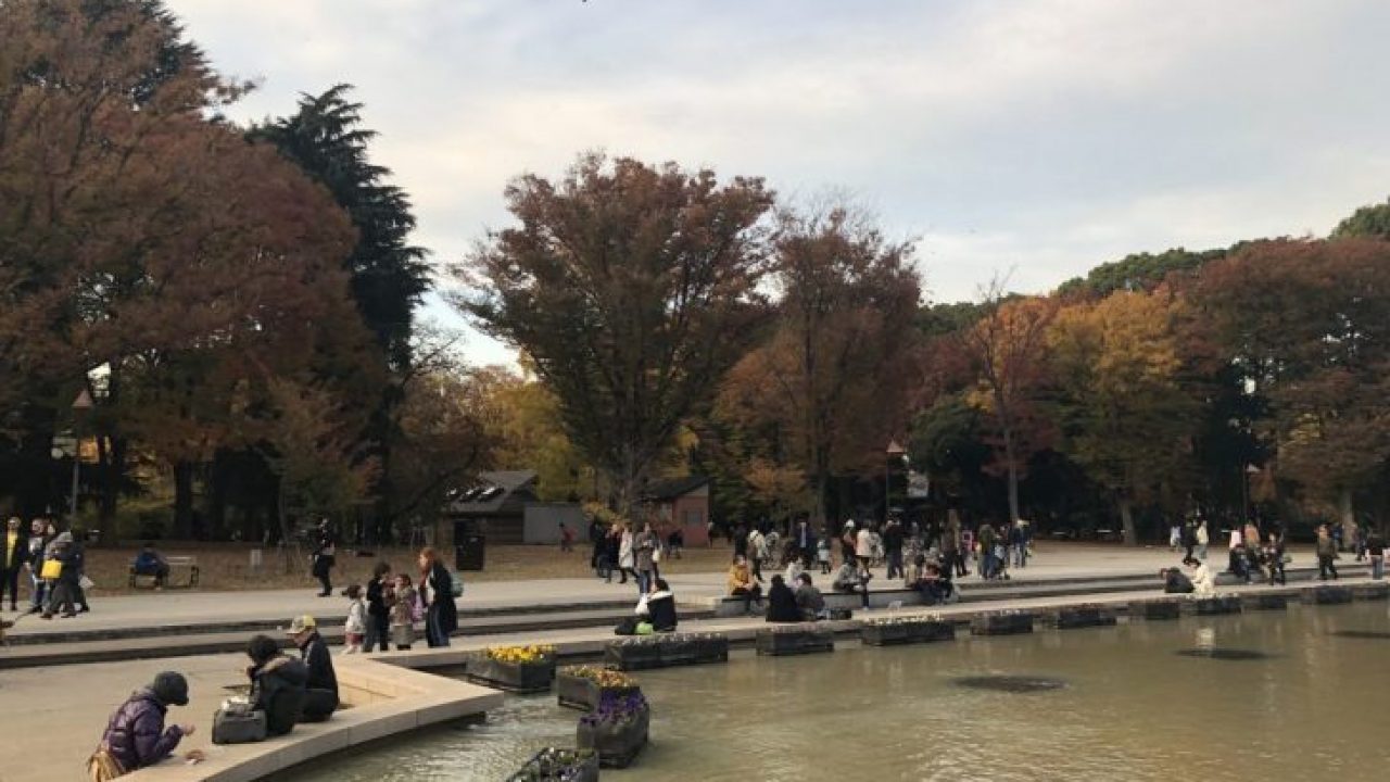 上野公園 秋葉原 和泉公園 人形町 浜町公園の芝生広場 芝生の手入れ Com