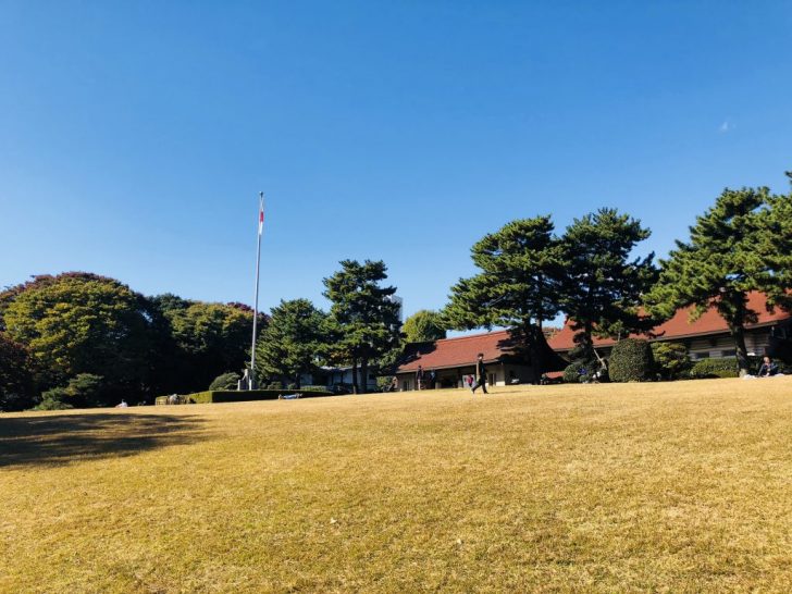 明治神宮の芝生広場