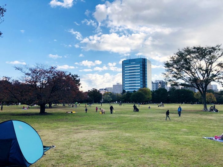 木場公園の芝生広場