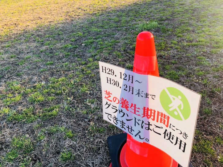 芝生グラウンドの養生期間