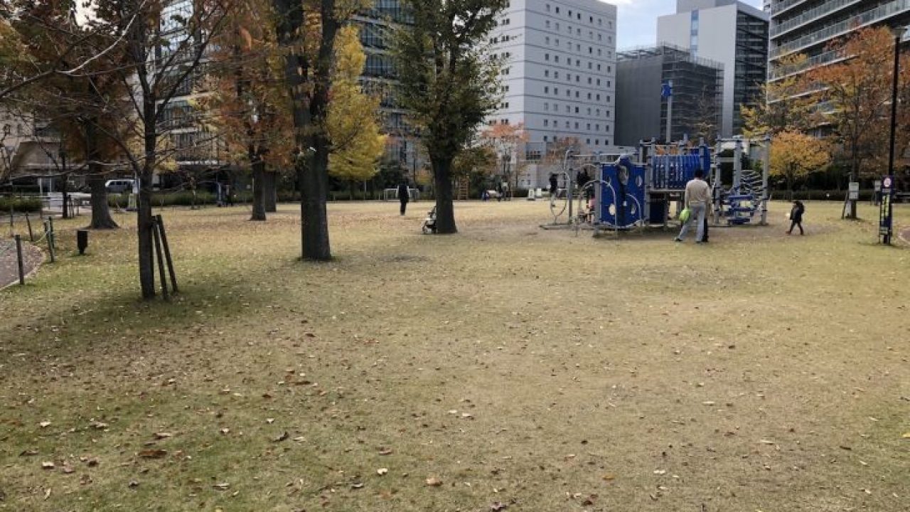 月島 勝どき 晴海の芝生がある公園 芝生の手入れ Com