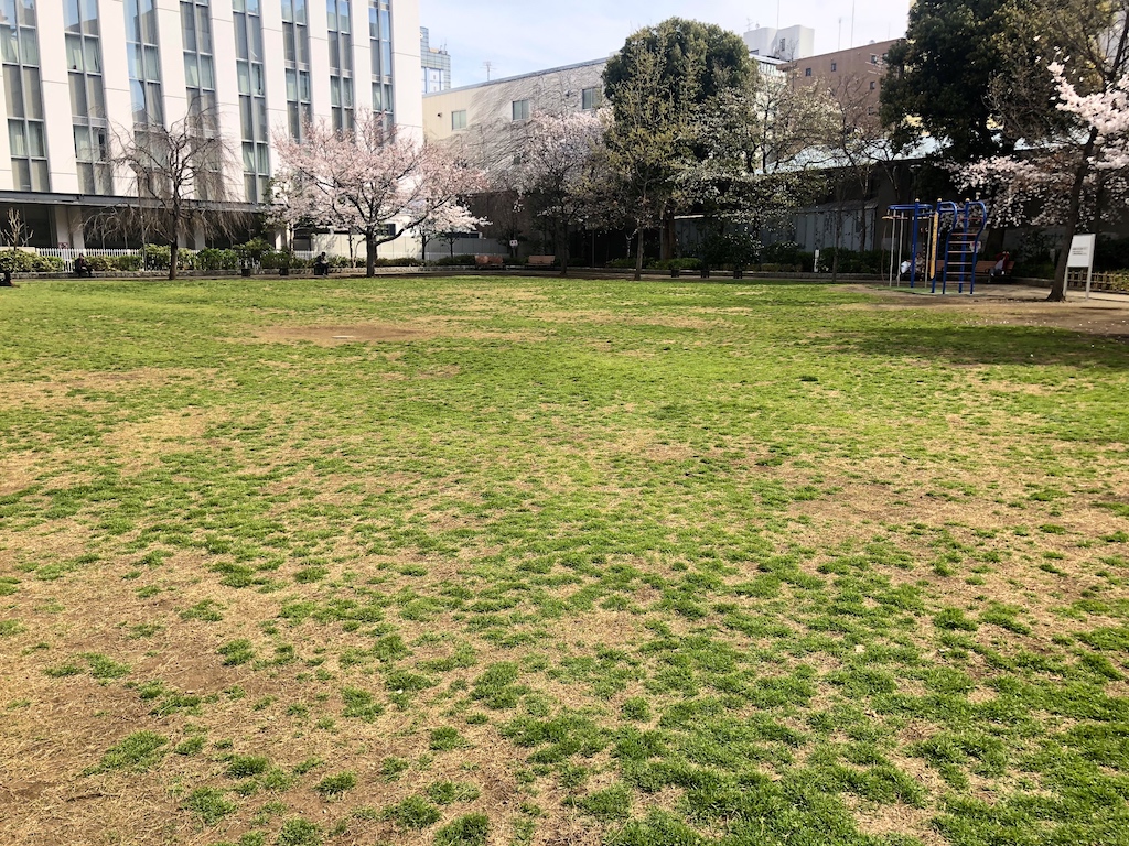 和泉公園の芝生広場