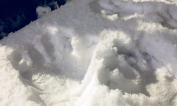 雪と手形