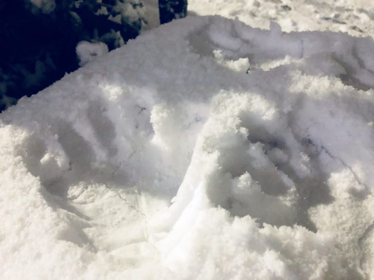 雪と手形
