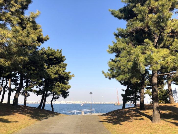 横浜・新港パーク