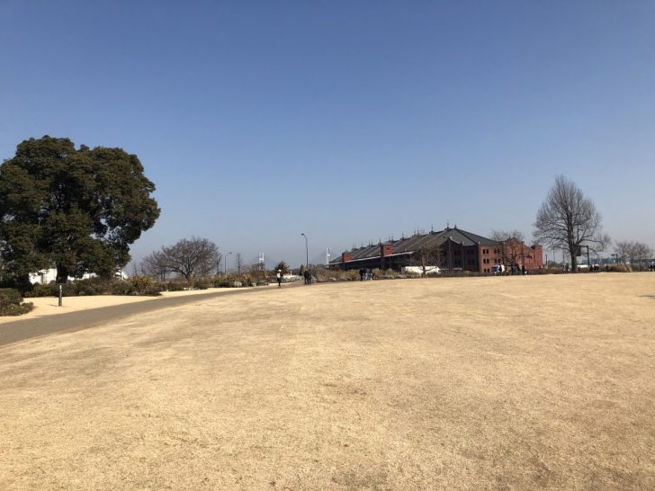 赤レンガ倉庫前の芝生広場