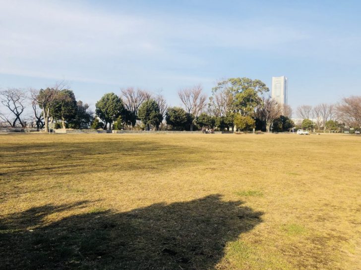 野毛山公園の芝生広場