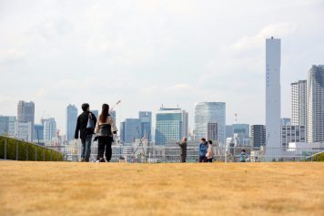 豊洲市場屋上芝生広場