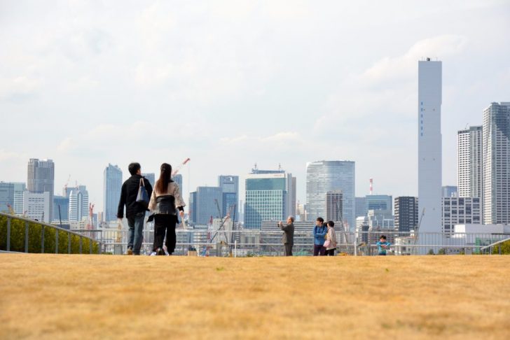 豊洲市場屋上芝生広場