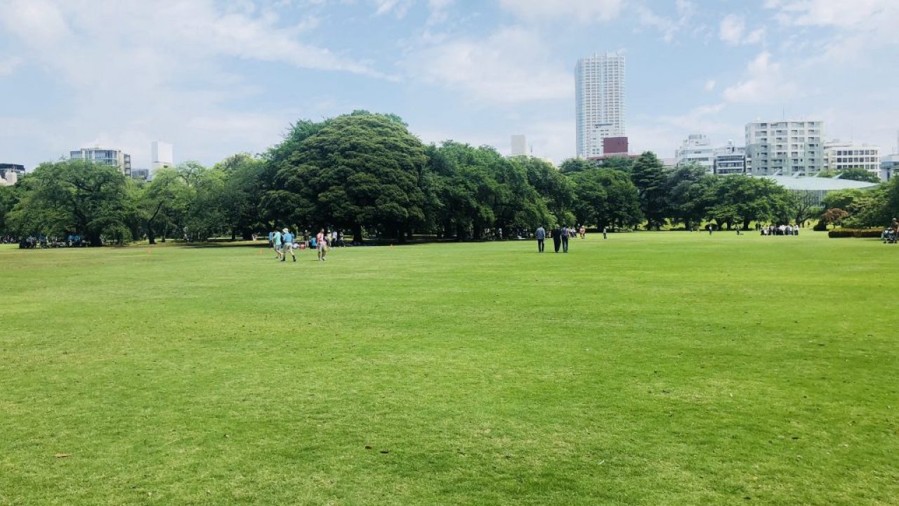 東京都内の芝生広場がある公園 ピクニック 子連れ 芝生の手入れ Com