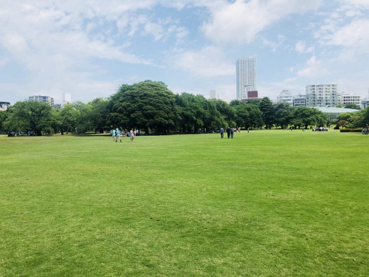 新宿御苑の芝生（5月中旬）
