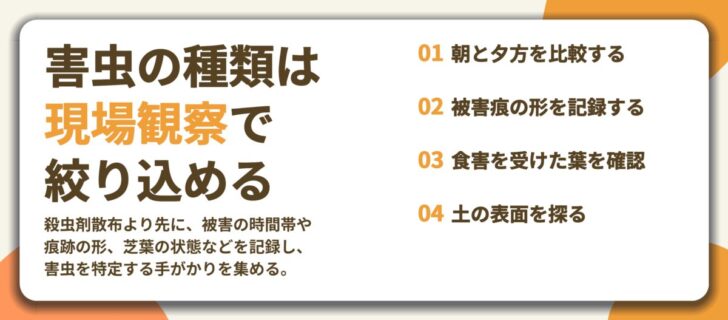 害虫の種類は 現場観察で 絞り込める。朝と夕方を比較する、被害痕の形を記録する、食害を受けた葉を確認、土の表面を探る