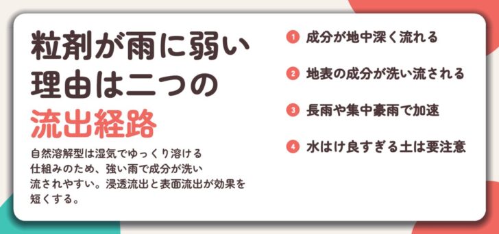 粒剤が雨に弱い 理由は二つの 流出経路。成分が地中深く流れる、地表の成分が洗い流される、長雨や集中豪雨で加速、水はけ良すぎる土は要注意