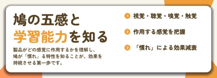 鳩の五感と 学習能力を知る。視覚・聴覚・嗅覚・触覚、作用する感覚を把握、「慣れ」による効果減衰