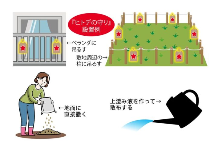 国産ヒトデを原料にした天然由来の害獣忌避剤「ヒトデの守り」が発売