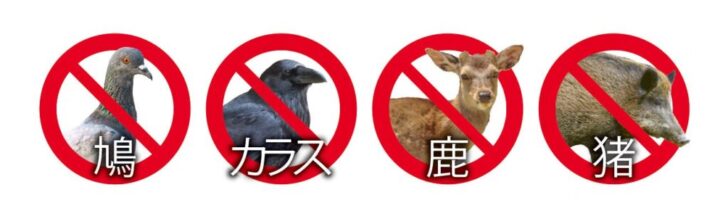 国産ヒトデを原料にした天然由来の害獣忌避剤「ヒトデの守り」が発売