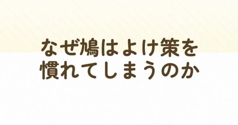 鳩の習性を逆手に取る 心理学ベースの鳩よけ設計術 – 芝生の手入れ.com