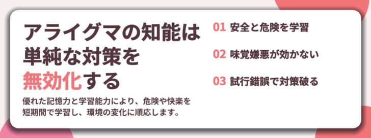 アライグマの知能は 単純な対策を 無効化する。安全と危険を学習、味覚嫌悪が効かない、試行錯誤で対策破る