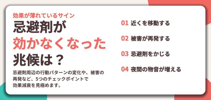 忌避剤が 効かなくなった 兆候は?。近くを移動する、被害が再発する、忌避剤をかじる、夜間の物音が増える