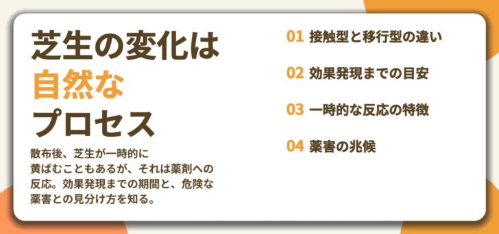 芝生の変化は 自然な プロセス。接触型と移行型の違い、効果発現までの目安、一時的な反応の特徴、薬害の兆候