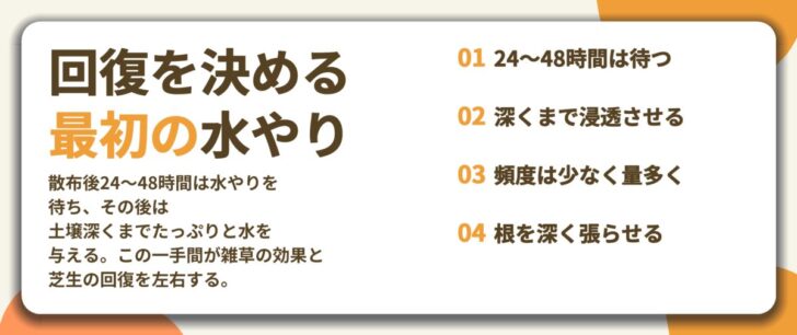 回復を決める 最初の水やり。24〜48時間は待つ、深くまで浸透させる、頻度は少なく量多く、根を深く張らせる