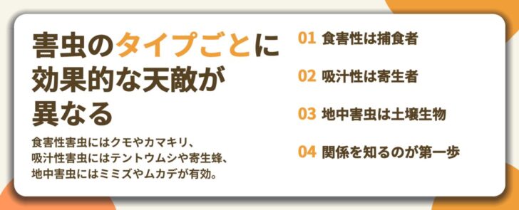 害虫のタイプごとに 効果的な天敵が 異なる。食害性は捕食者、吸汁性は寄生者、地中害虫は土壌生物、関係を知るのが第一歩