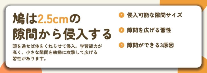 鳩は2.5cmの 隙間から侵入する。侵入可能な隙間サイズ、隙間を広げる習性、隙間ができる3原因