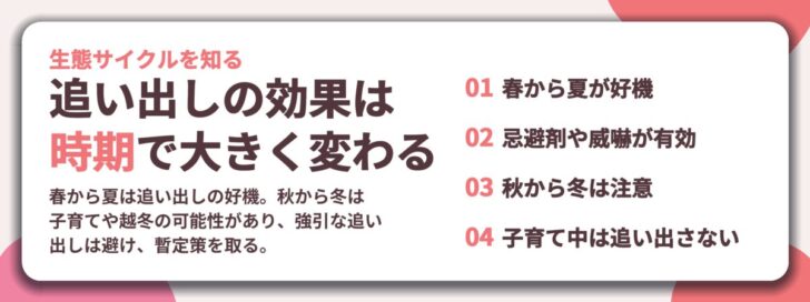 追い出しの効果は 時期で大きく変わる。春から夏が好機、忌避剤や威嚇が有効、秋から冬は注意、子育て中は追い出さない