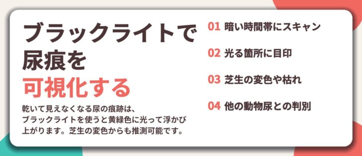 ブラックライトで 尿痕を 可視化する。暗い時間帯にスキャン、光る箇所に目印、芝生の変色や枯れ、他の動物尿との判別