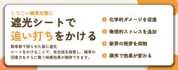 遮光シートで 追い打ちをかける。化学的ダメージを促進、物理的ストレスを追加、新芽の発芽を抑制、順序で効果が変わる