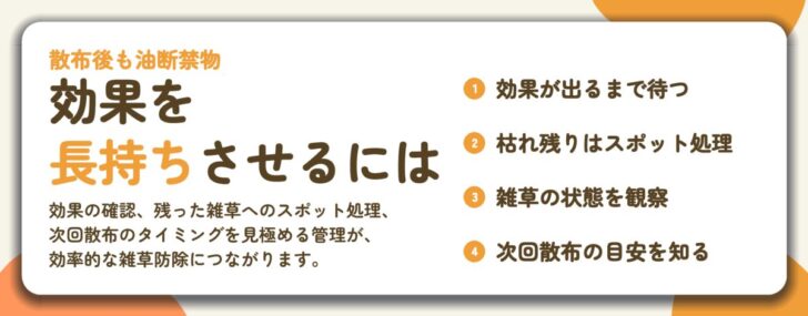 効果を 長持ちさせるには。効果が出るまで待つ、枯れ残りはスポット処理、雑草の状態を観察、次回散布の目安を知る