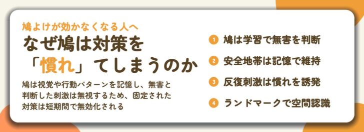 なぜ鳩は対策を 「慣れ」てしまうのか。鳩は学習で無害を判断、安全地帯は記憶で維持、反復刺激は慣れを誘発、ランドマークで空間認識