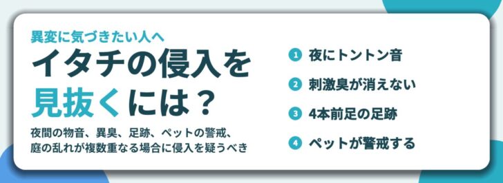 イタチの侵入を 見抜くには？。夜にトントン音、刺激臭が消えない、4本前足の足跡、ペットが警戒する