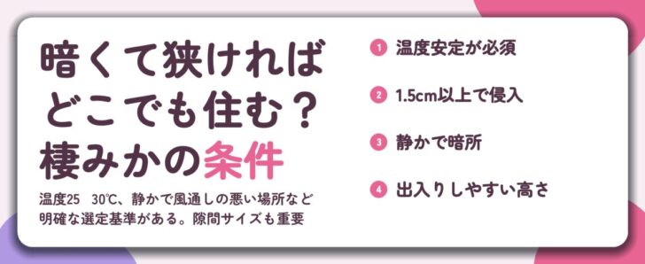 暗くて狭ければ どこでも住む？ 棲みかの条件。温度安定が必須、1.5cm以上で侵入、静かで暗所、出入りしやすい高さ