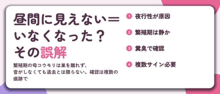 昼間に見えない＝ いなくなった？ その誤解。夜行性が原因、繁殖期は静か、糞臭で確認、複数サイン必要