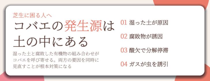 コバエの発生源は 土の中にある。湿った土が原因、腐敗物が誘因、酸欠で分解停滞、ガスが虫を誘引