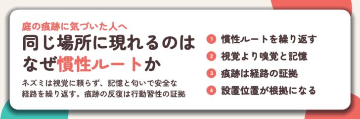 同じ場所に現れるのは なぜ慣性ルートか。慣性ルートを繰り返す、視覚より嗅覚と記憶、痕跡は経路の証拠、設置位置が根拠になる