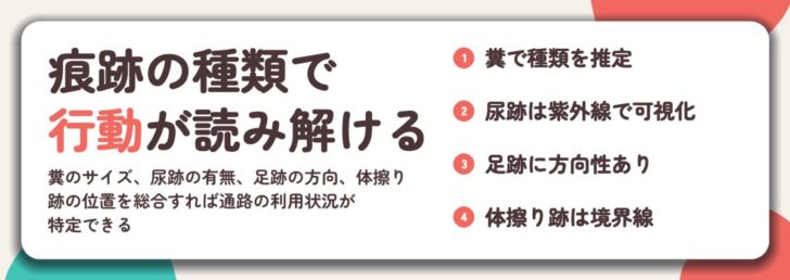 痕跡の種類で 行動が読み解ける。糞で種類を推定、尿跡は紫外線で可視化、足跡に方向性あり、体擦り跡は境界線