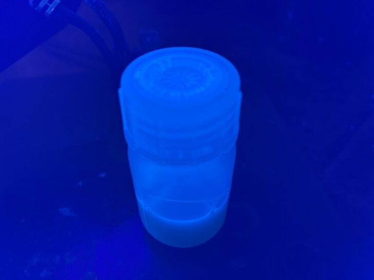 廃棄物から作る害虫忌避剤 バイオマス由来の量子ドットで環境に優しい家庭菜園を