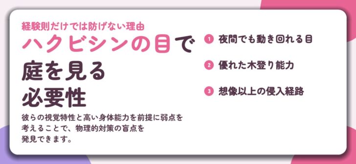 ハクビシンの目で 庭を見る 必要性。夜間でも動き回れる目、優れた木登り能力、想像以上の侵入経路