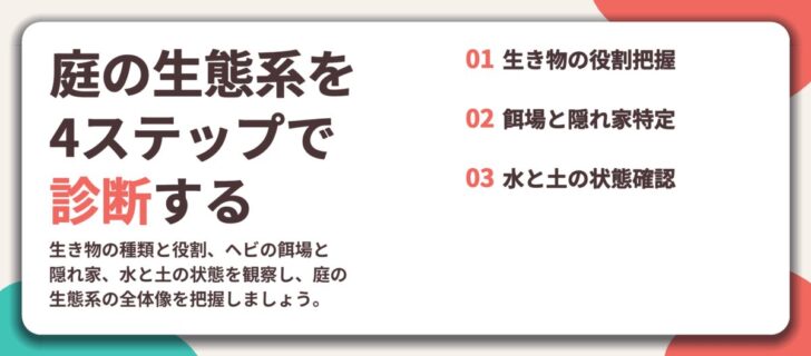 庭の生態系を 4ステップで 診断する。生き物の役割把握、餌場と隠れ家特定、水と土の状態確認