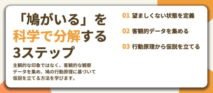 「鳩がいる」を 科学で分解する 3ステップ。望ましくない状態を定義、客観的データを集める、行動原理から仮説を立てる