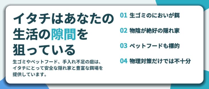 イタチはあなたの 生活の隙間を 狙っている。生ゴミのにおいが餌、物陰が絶好の隠れ家、ペットフードも標的、物理対策だけでは不十分
